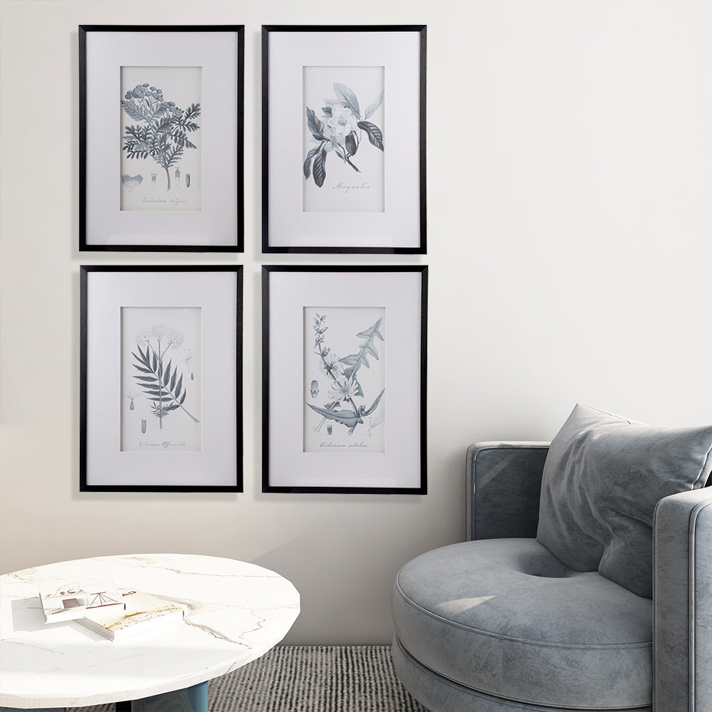 Farmhouse S/4 Sketch Botanical Picture Framed Wall Art