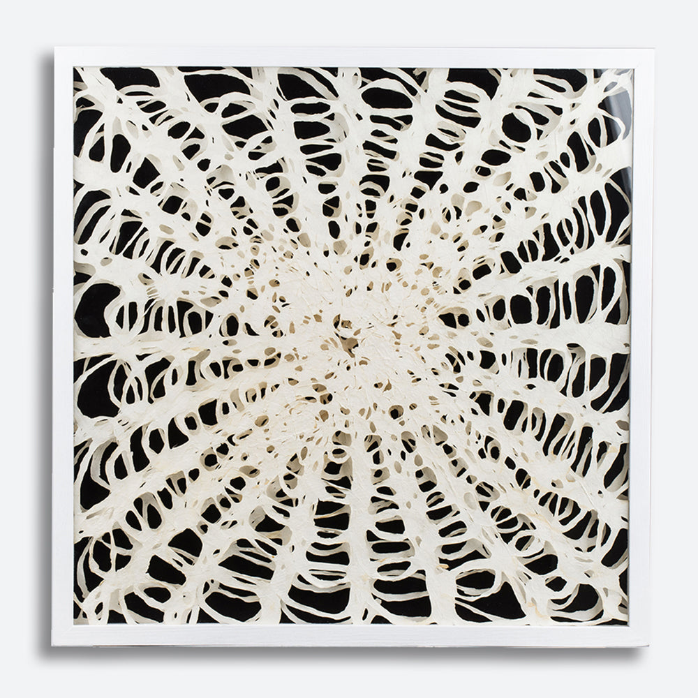 White And Black Spider Web Cutout Wall Art