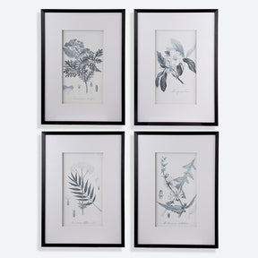 Farmhouse S/4 Sketch Botanical Picture Framed Wall Art